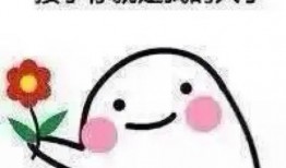 小花加油爆料是真的吗视频,小花加油爆料视频真实性揭秘